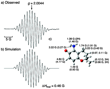 (a) ESR spectrum of 3˙ produced in the reaction of 3 (1.14 × 10−3 M) with G˙ (0.90 × 10−4 M) in a sodium phosphate buffer (pH 7.4) at 298 K. (b) Simulated spectrum of 3˙ using hfc and those predicted by DFT. (c) DFT optimized structure of 3˙ (UB3LYP/6-31(d) level) with hfc values together with the calculated values given in the parentheses. The maximum slope of the linewidths (ΔHmsl) value is shown below the spectra.