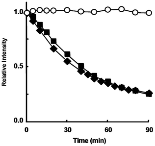 The stability of 3˙ (■), 4˙ (◆) and G˙ alone (○). The relative intensity of the ESR peak heights relative to Mn 2+. 3 or 4 (1.14 × 10−3 M) reacted with G˙ (0.90 × 10−4 M) in a sodium phosphate buffer (pH 7.4) at 298 K.