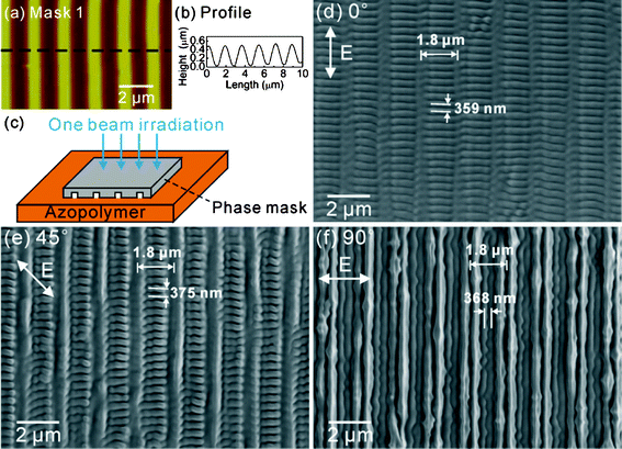 AFM image (a) and profile (b) of the PDMS phase mask with line patterns (Mask 1). (c) Schematic illustration of the one-step fabrication of hierarchical structures. (d)–(f) SEM images of hierarchical structures on the azopolymer P2NO2 fabricated by the linearly polarized laser with different polarizations (E vector). The arrows in (d)–(f) show the polarization (E vector) of the laser. Note: The grating direction is defined as the direction which is parallel to the lines of Mask 1.