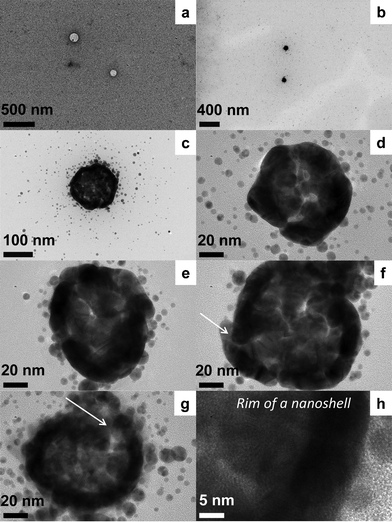 TEM analysis of the gold nanoshells (b–h) prepared with RTATT nanocapsules (a, OsO4 stained sample).