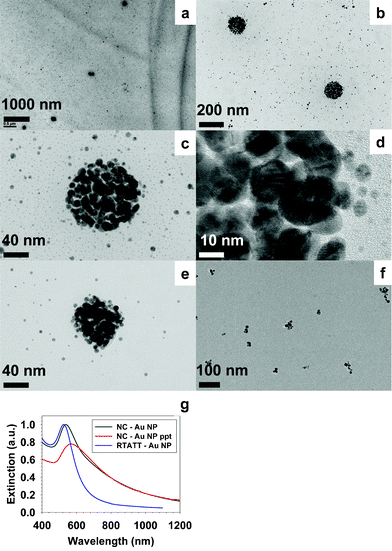 TEM (a–e) and UV-vis (g, NC–Au NP) of gold nanoparticle aggregates prepared with RTATT nanocapsules. TEM (f) and UV-vis (g, RTATT-Au NP) of gold nanoparticles prepared with RTATT monomer.