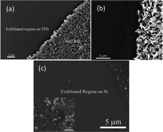 SEM micrographs of the exfoliated region. ZnO nanostructures are prepared by (a) electrochemical deposition on ITO and (b) microwave-assisted growth on silicon. (c) Ga2O3 microstructures are prepared by microwave-assisted growth on silicon.