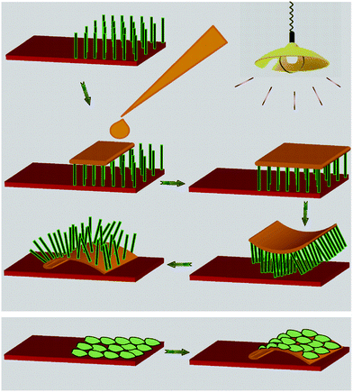 Schematic showing the steps involved in the exfoliation of nanostructures of different morphologies.