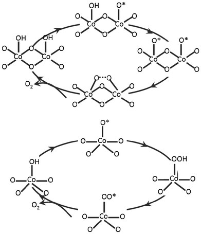Schematic illustration of LH (two-site) mechanism (top) and ER (mono-site) mechanism (bottom) for O–O bond formation.
