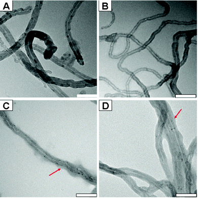 Representative TEM images of CNTs, CNT-PDA, CNT-PDA-MPS and CNT-PDA-NDM. Polymer films were clearly observed in the TEM images of C and D (red arrows); scale bar = 100 nm.