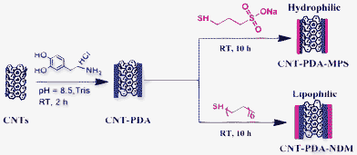 Schematic representation of the preparation of CNT-PDA-MPS and CNT-PDA-NDM via the combination of mussel-inspired chemistry and the Michael addition reaction.