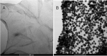 Typical TEM images of (A) PDDA/G and (B) the as-prepared Au/PDDA/G hybrid.