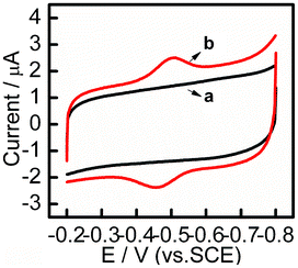 CV curves obtained for (a) PDDA/Au/PDDA/G and (b) CYP3A4/CPR-microsomes/PDDA/Au/PDDA/G modified GCE at a scan rate of 100 mV s−1 in anaerobic 0.1 M PBS, pH 7.4.