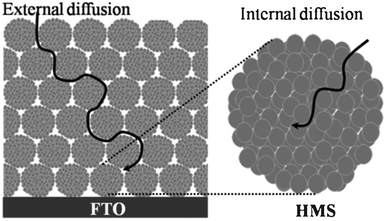 Diagram for electrolyte diffusion through the external and internal pores in the film fabricated from the mesoporous TiO2 HMSs.