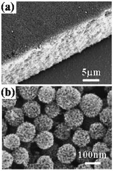 SEM images of the films made of TiO2 HMSs with particle sizes ranging from 120 nm to 160 nm after calcination at 470 °C: (a) cross section view, (b) top view.