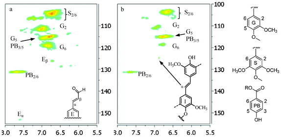 Aromatic regions of 13C/1H HSQC NMR spectra of lignin samples isolated from untreated (a) and dilute acid pretreated poplar (b: 26.8 pretreatment time). G: guaiacyl; S: syringyl; PB: p-hydroxyphenyl benzoate; E: cinnamaldehyde; I: stilbene; R: H or lignin moiety.