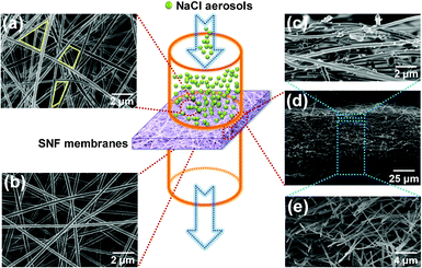 FE-SEM images of SNF3 membranes after filtration: (a) top surface; (b) bottom surface; (c), (d), and (e) cross-section with different magnifications, respectively.