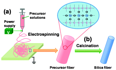 Schematic illustration of the fabrication of SNF membranes by a combination of (a) electrospinning and (b) a calcination process.