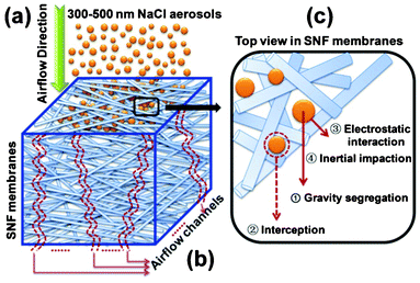 (a) The filtration process of SNF membranes for 300–500 nm NaCl aerosols, (b) the airflow channels of SNF membranes, and (c) the interaction between silica nanofibers and NaCl aerosols.