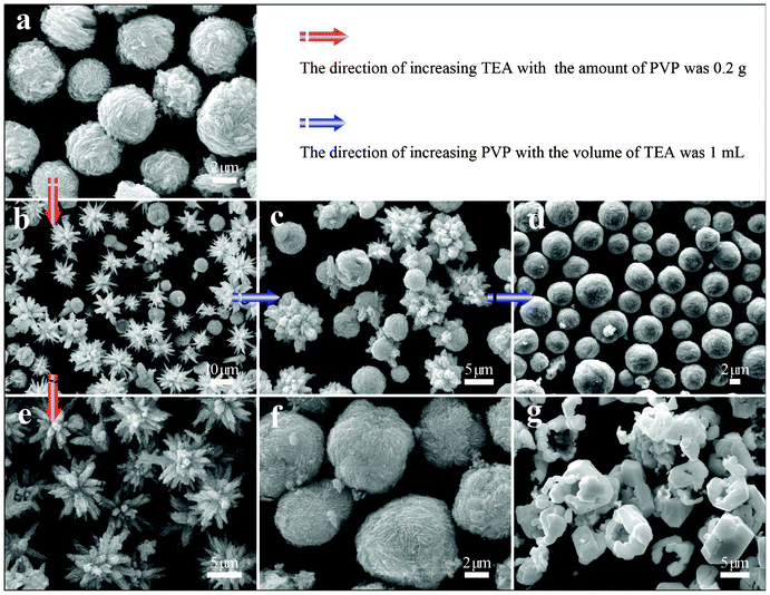 SEM images of CuI samples obtained under different experiment conditions: (a) S1, (b) S2, (c) S4, (d) S5, (e) S3, (f) S6, and (g) S7.