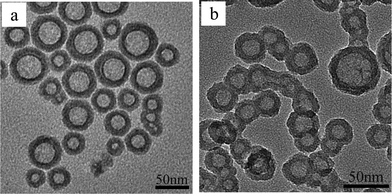 TEM images of HSNs (a) and HMDS–HSNs (b).