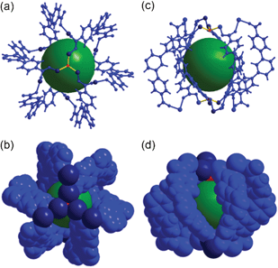 Ball-and-stick and space-filling models of Cage A with a local S6 point symmetry. Top view of (a) the ball-and-stick and (b) space-filling models. Side view of (c) the ball-and-stick and (d) space-filling models. Color code: BTB, blue; cobalt, dark blue; μ3-O, red; dummy ball representing the cavity of Cage A, green.