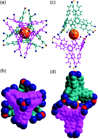 Ball-and-stick and space-filling models of Cage C with a pseudo-S6 point symmetry. Top view of (a) the ball-and-stick and (b) space-filling models of Cage C. Side view of (c) the ball-and-stick and (d) space-filling models. Color code: BTB, pink and dark cyan; cobalt, dark blue; μ3-O, red; dummy ball representing the cavity of Cage C, orange.