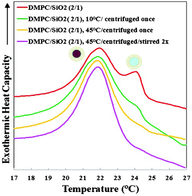 Nano-DSC data for nanosystems formed from DMPC SUVs and 100 nm SiO2 at SASUV/SASiO2 = 2/1: as prepared (showing both SLBs and SUVs); the pellet obtained after centrifugation at 10 °C with supernate removed; the pellet obtained after centrifugation at 45 °C with supernate removed; and the pellet obtained after centrifugation at 45 °C after agitation/rinsing/centrifugation twice with buffer