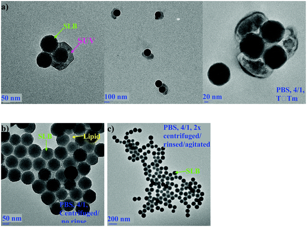 TEM images of SASUV/SASiO2 = 4/1 nanosystems at high ionic strength formed at 45 °C: (a) as prepared (no centrifugation); (b) centrifuged without rinse; (c) centrifuged/rinsed/agitated two times.