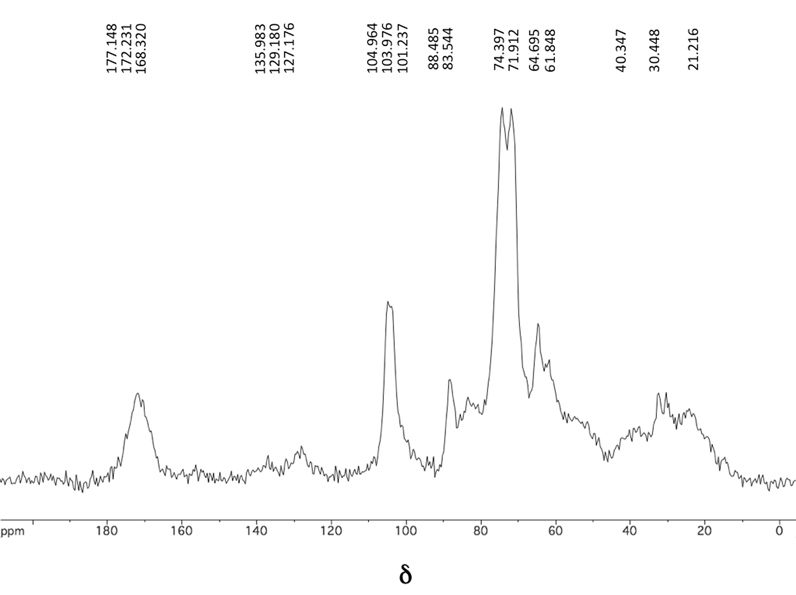 
            13C CP-MAS NMR spectrum of agar residues.