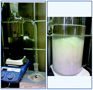 Continuous extraction/reaction apparatus. Left, the extraction system: extractor body (Flask 1) a1) solvent and solid deposit, a2) evaporator connector, a3) solvent return line with Teflon valve, b) condenser, c) collecting round bottom flask (Flask 2). Right, solvent deposit with pure Cel after treatment.