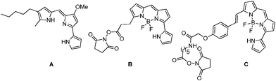 Chemical structures of Prodigiosin A, BODIPY 576/589 succinimidyl ester B and BODIPY 650/665-X succinimidyl ester C.