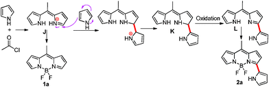 Possible mechanism for the formation of 3-pyrrolylBODIPY 2a.