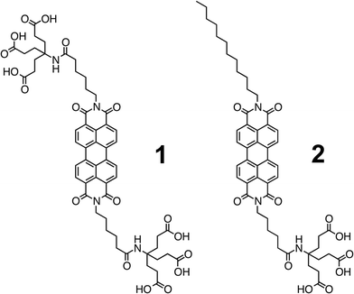 Electron accepting perylenediimides (PDIs) 1 and 2, which are symmetrically and non-symmetrically equipped with 1G-dendrons of the Newkone-type, respectively.
