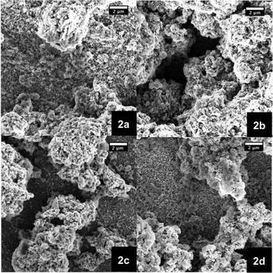 SEM images of NiO photoelectrodes made from pastes based on terpineol as a solvent and 15 wt% NiO nanoparticles. The films were calcinated at different temperatures, namely 300 (2a), 400 (2b), 500 (2c), and 600 °C (2d).