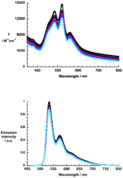 Upper part: absorption spectra of 1 in methanol (1 × 10−5 M) recorded at 1 h time intervals up to 10 h. Lower part: fluorescence spectra of 1 in methanol (1 × 10−5 M) recorded at 1 h time intervals up to 10 h at an excitation wavelength of 450 nm.