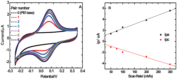 CV curves for {PEI/Fe(iii)-L2EO4}n films on GCE. As n increases from 0 to 5, the peak current keeps increasing, whereas it does not increase at n ≥ 6 (A). Linear dependence of peak current on scanning rate (B). Original CV data at different scan rates is available in ESI.