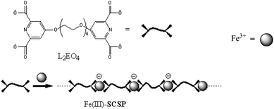 Formation of soft coordination suprapolymer Fe(iii)-L2EO4 from Fe3+ and ditopic ligand L2EO4 in water.