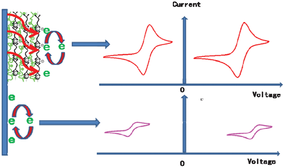 Schematic representation of the electrochemical process occurred in the modified and unmodified GC electrodes.