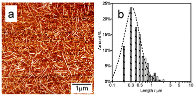 Statistical analysis of tube length in s-SWCNTs ink based on AFM observations. a) A typical AFM image of s-SWCNTs mono-dispersed on silicon substrate. b) A length distribution chart, representing the distribution of the total length of all the tubes into different length ranges, measured from AFM images of s-SWCNTs. The vertical axis displays the sum of the lengths of all the tubes in each bin normalized by the total length of all measured s-SWCNTs.