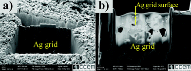 FIB of the discolored Ag grid. (a) Overview of FIB section (5 μm × 10 μm) on the discolored Ag grid and (b) ultrathin slice (∼100 nm) of the discolored Ag grid for TEM observation.