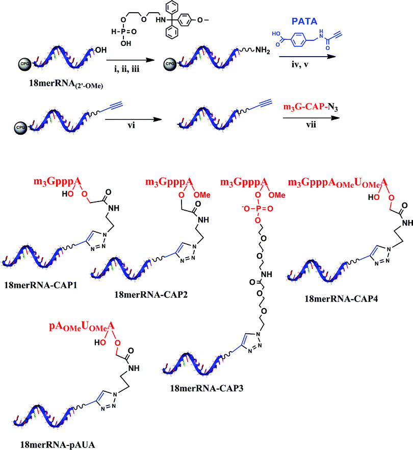 h-phosphonate py pvcl 20 min r