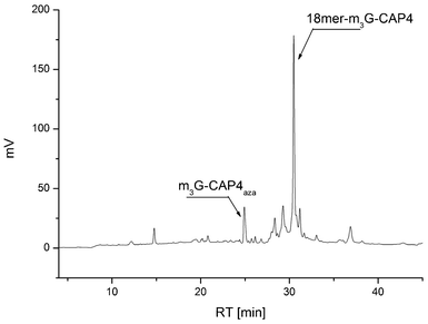 HPLC analysis of the crude product after click conjugation of clickable m3G-Cap 4 to 5′alkyne 18-merRNA to obtain the most complex construct, the 18merRNA-CAP 4.