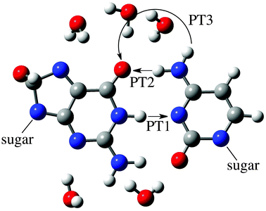Representation of the atoms involved in the PT1, PT2 and PT3 reactions of the G(8OH):C adduct (see Fig. 3). For the sake of clarity, only the atoms in the high layer are shown, namely the G(8OH):C moiety and the water molecules of the first hydration shell.