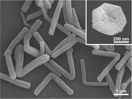 SEM image of the sample with fn = 0.25 and x = 27.