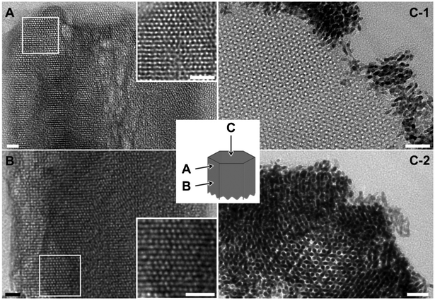 TEM image of the ultramicrotomed pure-silica (A and B) and Pt-infiltrated (C) MCM-48 nanorods. Scale bars indicate 20 nm.