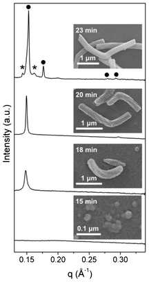 SAXS patterns of the synthesis mixture of MCM-48 nanorods and SEM images of the solid products taken at different reaction times. The peaks marked by filled circles and asterisks are attributed to the Ia3d structure and unknown mesophase, respectively.