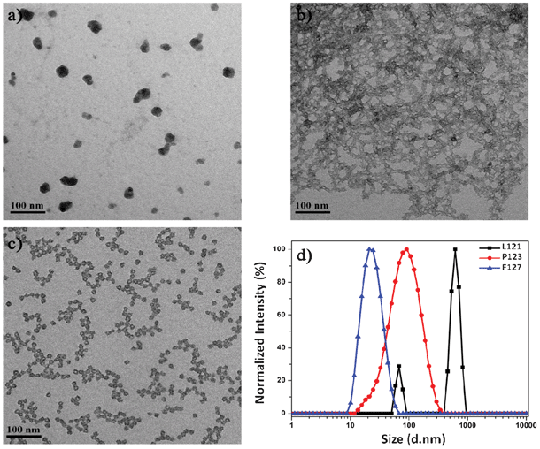 TEM images of the PEOSN derived from (a) L121, (b) P123, and (c) F127 block copolymers and (d) their corresponding DLS result.