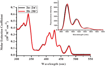 UV-vis absorption and fluorescence emission (inset) spectra of bisaza CBI3a (3a′) and bisaza CBI3b (3b′) in dichloromethane.