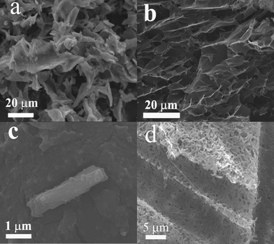 SEM image of (a) S, (b) G, (c) S-MeOH, (d) G-MeOH.