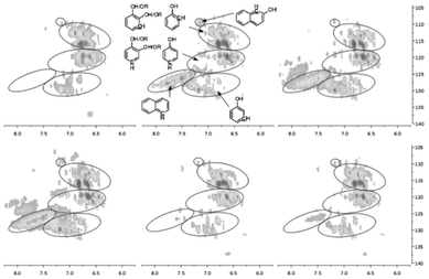 Aromatic C–H bonds in the HSQC-NMR spectra for the pyrolysis oils produced by pyrolysis of SW kraft lignin with various zeolites, from left top to right bottom is L, Z, Y, B, F and M upgraded pyrolysis oil.