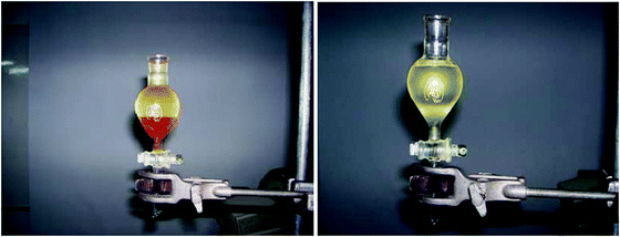 (left) Biodiesel being separated from the byproducts in a separation funnel. (right) Biodiesel developed after removal of glycerol and methanol (bottom layer).