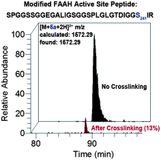 
            LC-MS analysis showing loss of probe-modified FAAH active site peptide following crosslinking for probe 5a. Extracted ion chromatograms correspond to the probe-labeled active site FAAH peptide before (black) and after (red) photocrosslinking. Relative peak area after crosslinking is indicated in parenthesis. The probe-modified residue is catalytic Ser241. See Supplemental Figure S1 for LC-MS analysis of all probes. Note: peak identities and site-of-labeling (Ser241) were confirmed by SEQUEST26 analysis of tandem mass spectra as summarized in Supplemental Table S1.