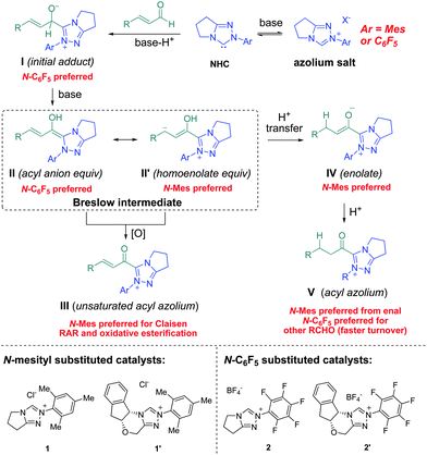 Roadmap for triazolium selection for the reaction modes available from NHC-catalyzed reactions of aldehydes.
