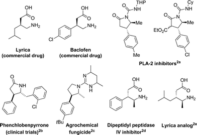 Representative examples of bioactive γ-amino acid derivatives.
